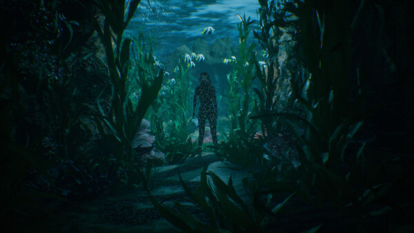 87177_2