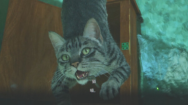 86262_12