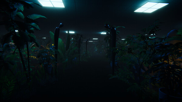 86212_3